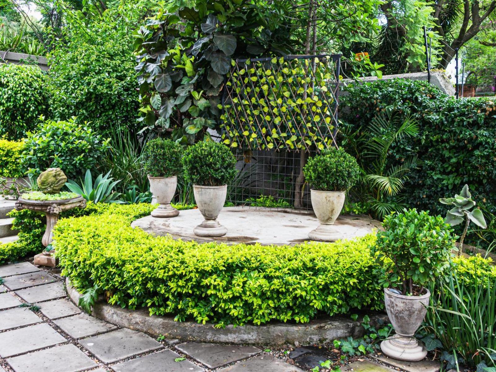 Muckleneuk Manor Hotel Pretoria Ngoại thất bức ảnh
